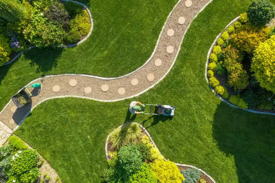 Professional Landscape Company