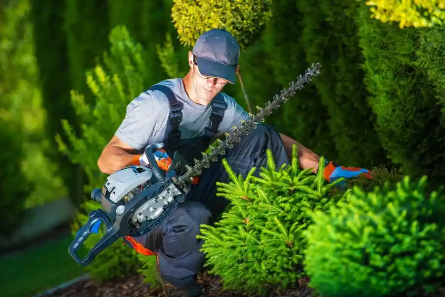 Your Reliable Landscaper in Bel Air, MD