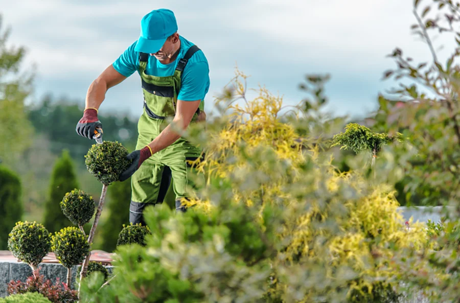 Reliable Landscape Services