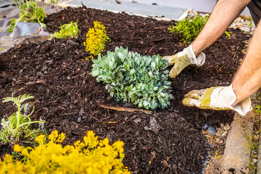 Affordable Mulching Bel Air, MD