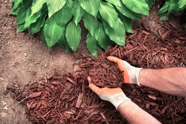 Expert Mulching Bel Air, MD