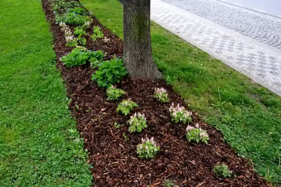 Professional Mulching Bel Air, MD