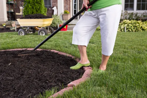 Why Mulching Improves The Appearance Of Your Garden Bel Air, MD Why Mulching Improves The Appearance Of Your Garden Bel Air, MD